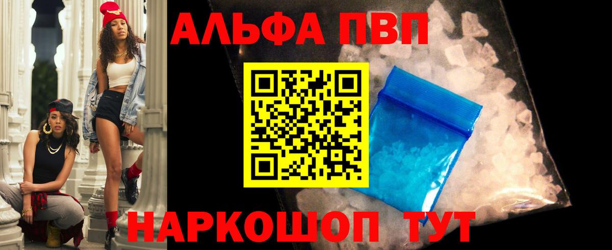 Выборг  Альфа ПВП СК КРИС  Вход с VPN  APVP СК КРИС 