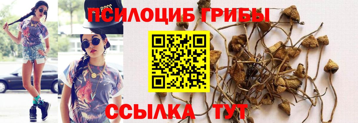 Галлюциногенные грибы MAGIC MUSHROOMS  Вход с VPN  Выборг 