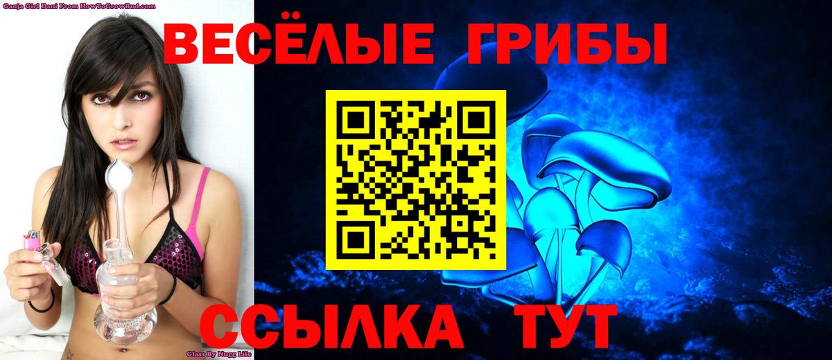 Галлюциногенные грибы Magic Shrooms Выборг
